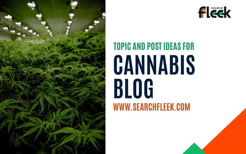 Cannabis Blog Post Ideas