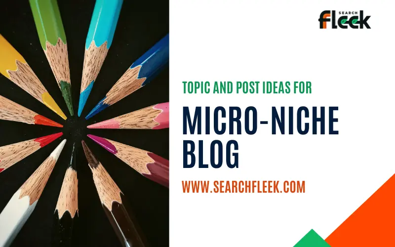 Micro Niche Blog Post Ideas