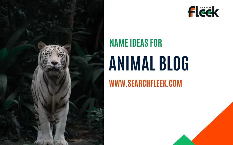 Animal Blog Name Ideas