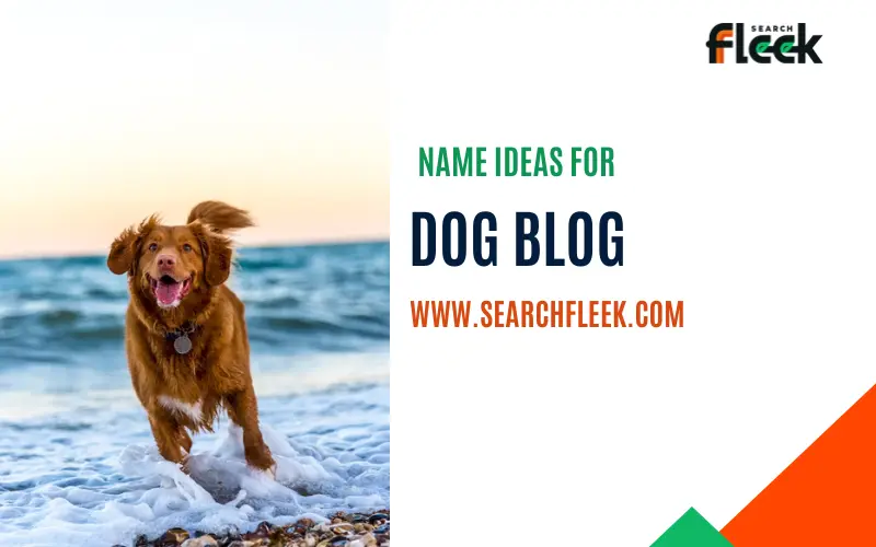 57+ Best Dog Blog Name Ideas