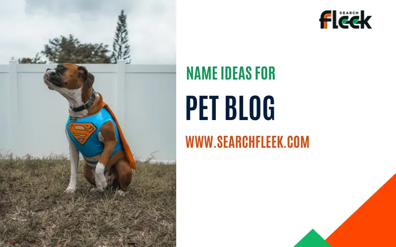Pet Blog Name Ideas