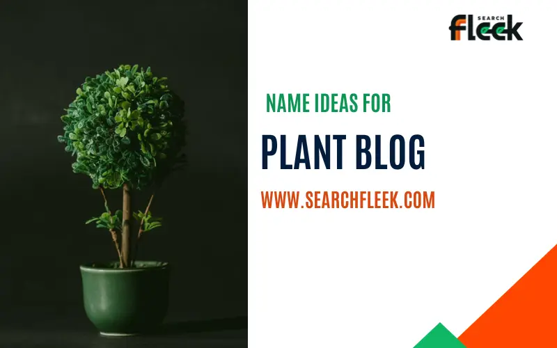 Plant Blog Name Ideas
