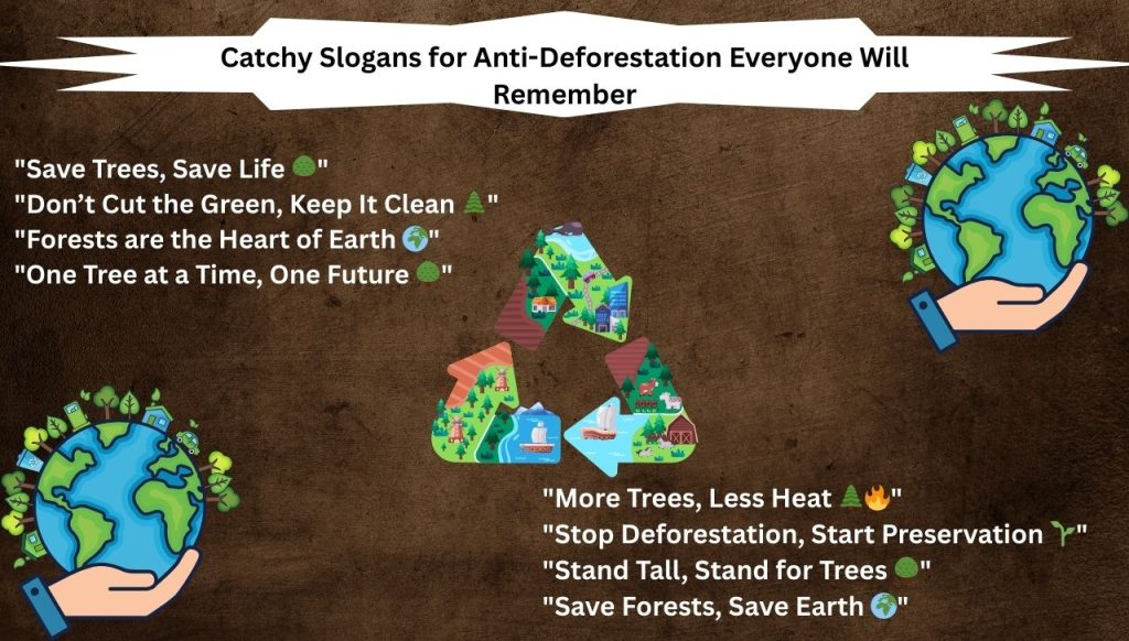 Catchy Slogans for Anti-Deforestation Everyone Will Remember
