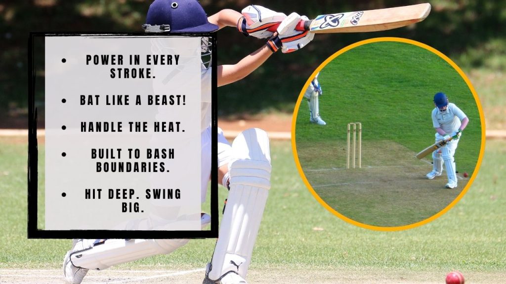 Bold and Catchy Slogans for Cricket Bats