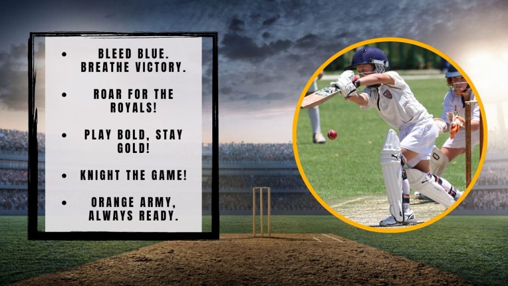 IPL Cricket Slogans That Fire Up the Fans