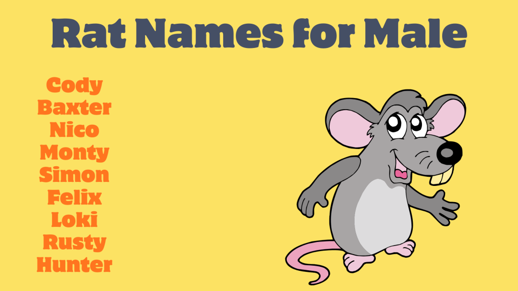 Rat Names for Male