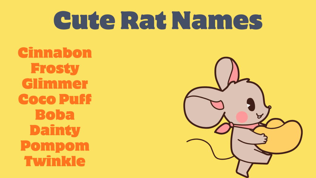 Cute Rat Names