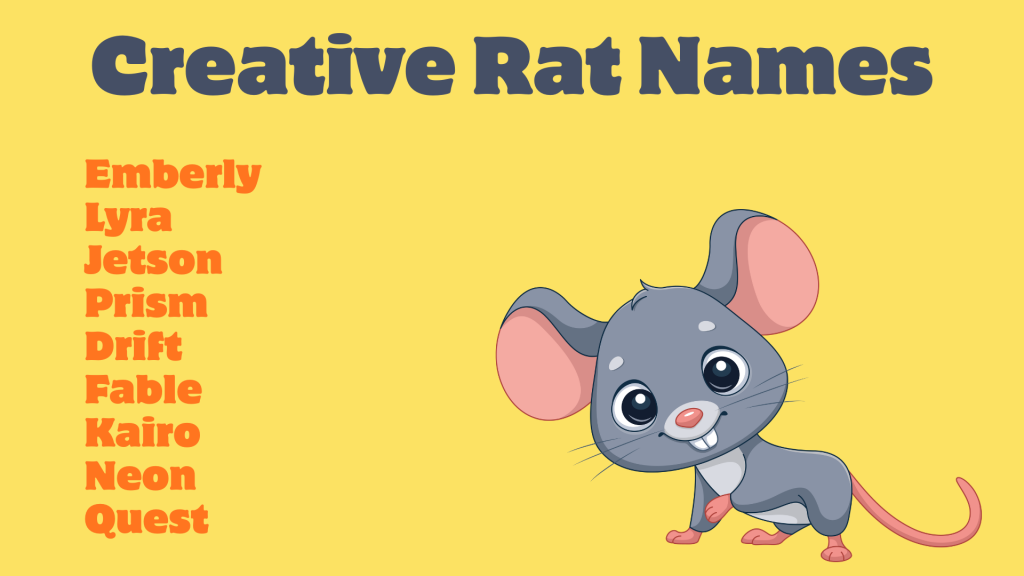 Creative Rat Names