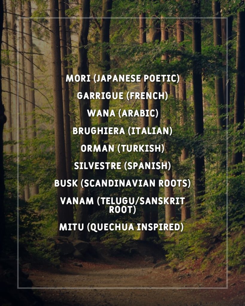 other_names_for_forest_